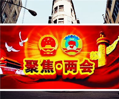 2017两会篇