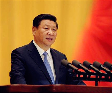 习近平“两会”说