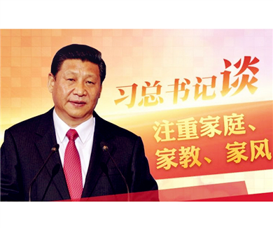 深入学习习近平总书记系列讲话精神专题讲座04