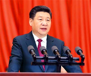 深入学习习近平总书记系列讲话精神专题讲座10