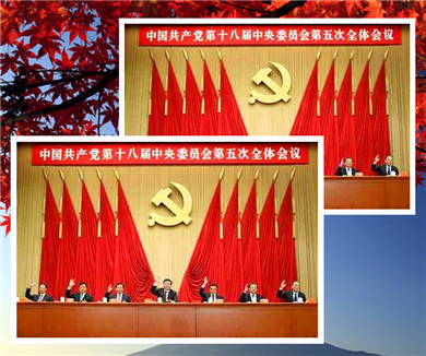 学习贯彻总书记在十八届中央纪委五次全会上的重要讲话精神