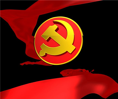 党的力量在组织第三集 挑战与考验