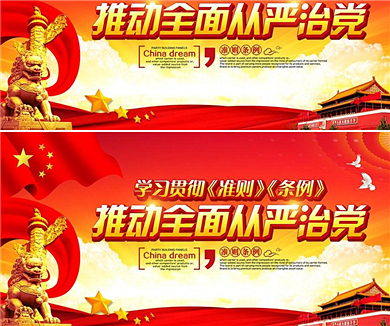 08发扬党内民主和保障党员权利