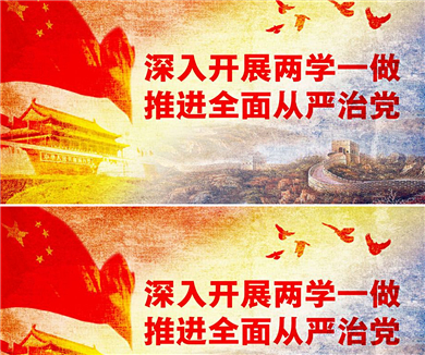 10严格党的组织生活制度