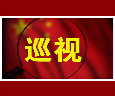 政治巡视