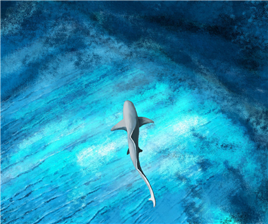 生命08深海生物