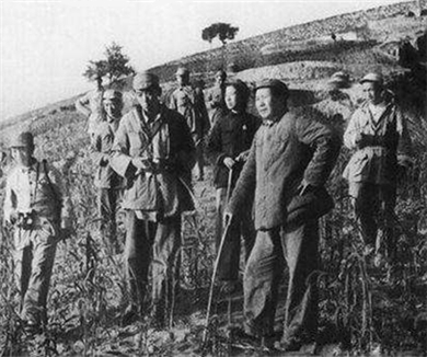 长沙战役（上）