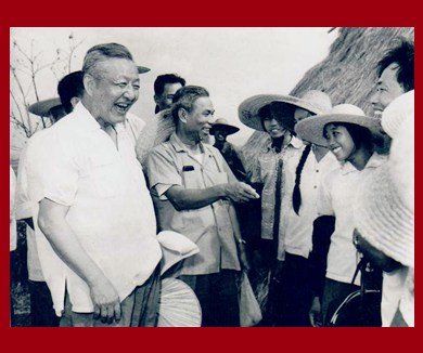 习仲勋01