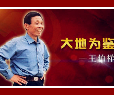 人民的好儿女之大地为鉴—王伯祥