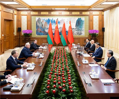 习近平会见白俄罗斯总统