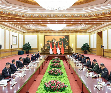 习近平同印度尼西亚当选总统会谈