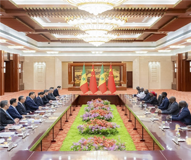 习近平同塞内加尔总统会谈