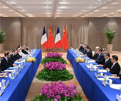 习近平会见法国总统