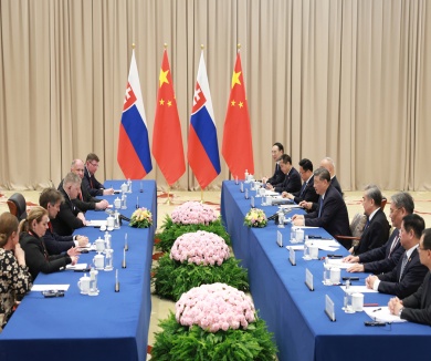 习近平会见斯洛伐克总理